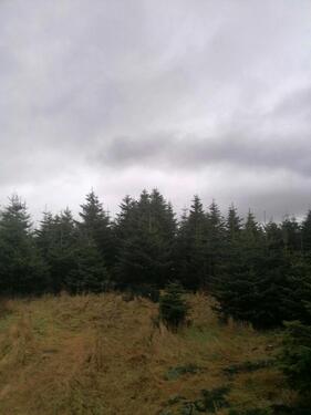 Foto - Grundstück 20.000 qm f. Solar- u. Windkraftanlage