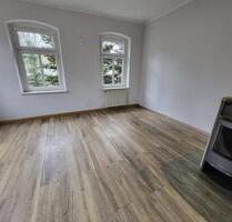 Frisch sanierte, große 5-Raum Wohnung in Cranzahl mit Kamin, Garage und Garten! - Sehmatal