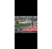 Ferienhäuschen im Elsass Mitte im Wald - Karlsruhe Mühlburg