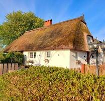 Urlaub an der Ostsee: Ferienhaus mit Pool an schönsten Sandstränden, familienfreundlich, mit Hund, bis 6 oder 8 Personen, Strandurlaub, Familienurlaub, Hundeurlaub, nahe Fehmarn, Grömitz - Heringsdorf