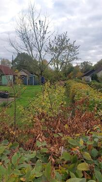 Foto - Kleingarten zur Pacht abzugeben