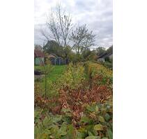 Kleingarten zur Pacht abzugeben - Hannover Herrenhausen-Stöcken