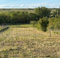 Wiese HundewieseFreizeitgrundstück in Jugenheim zu verpachten - Ober-Olm