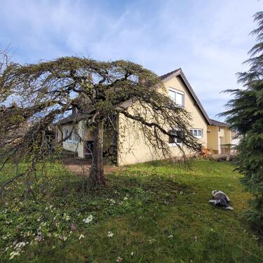 Foto - 7 Zimmer Einfamilienhaus in Waldstetten
