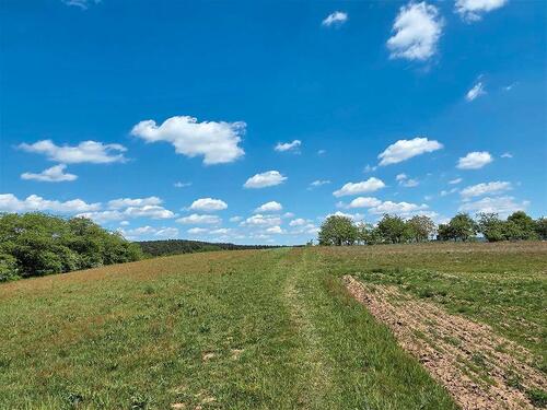 Foto - Landwirtschaftsflächen - 700,00&nbsp;EUR Kaltmiete, ca.&nbsp; 0,00&nbsp;m&sup2;