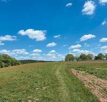 Landwirtschaftsflächen - 700,00&nbsp;EUR Kaltmiete, ca.&nbsp; 0,00&nbsp;m&sup2; in Merzig (PLZ: 66663)