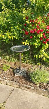 Foto - Grundst&uuml;ck zur Miete in Magdeburg