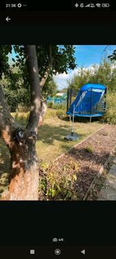 Foto - Pachtgarten abzugeben - 650,00 EUR Kaltmiete, ca.  0,00 m²