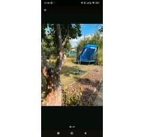 Pachtgarten abzugeben - 650,00&nbsp;EUR Kaltmiete, ca.&nbsp; 0,00&nbsp;m&sup2; in Eisenach (PLZ: 99817)