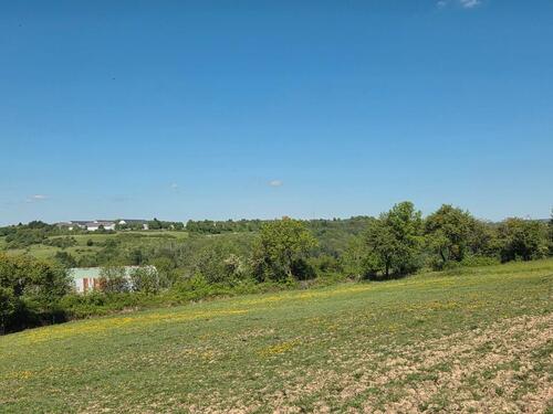 Foto - Landwirtschaftsflächen - 1.600,00&nbsp;EUR Kaltmiete, ca.&nbsp; 0,00&nbsp;m&sup2;