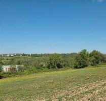 Landwirtschaftsflächen - 1.600,00&nbsp;EUR Kaltmiete, ca.&nbsp; 0,00&nbsp;m&sup2; in Merzig (PLZ: 66663)