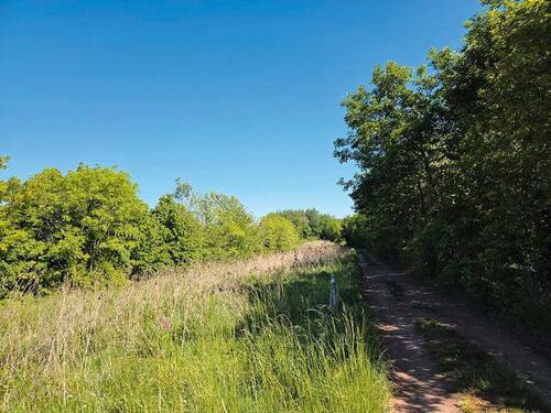 Foto - Landwirtschaftsfläche - 2.000,00&nbsp;EUR Kaltmiete, ca.&nbsp; 0,00&nbsp;m&sup2;