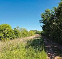 Landwirtschaftsfläche - 2.000,00&nbsp;EUR Kaltmiete, ca.&nbsp; 0,00&nbsp;m&sup2; in Merzig (PLZ: 66663)