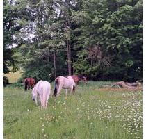 schönes Appartement in Utting - 620,00&nbsp;EUR Kaltmiete, ca.&nbsp; 32,00&nbsp;m&sup2; in Utting am Ammersee (PLZ: 86919)