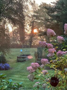 Foto - Wohn-Lebensgemeinschaft - 550,00&nbsp;EUR Kaltmiete, ca.&nbsp; 30,00&nbsp;m&sup2;