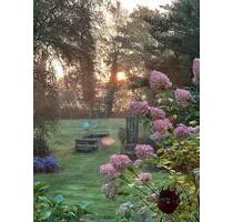 Wohn-Lebensgemeinschaft - 550,00&nbsp;EUR Kaltmiete, ca.&nbsp; 30,00&nbsp;m&sup2; in Südbrookmerland (PLZ: 26624)