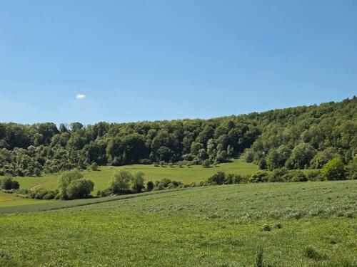 Foto - Landwirtschaftsflächen - 4.000,00&nbsp;EUR Kaltmiete, ca.&nbsp; 0,00&nbsp;m&sup2;