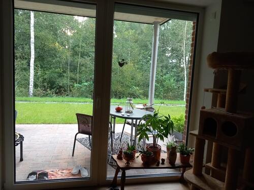 Foto - Haselünne Niedersachsen Seniorenwohnung Ü 60