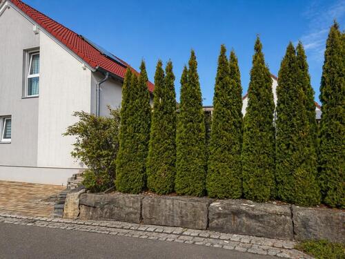 Foto - Einfamilienhaus in Jagsthausen zum Kaufen