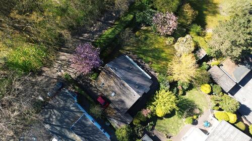 Foto - Modernes Einfamilienhaus in traumhaft ruhiger Lage in Wentorf