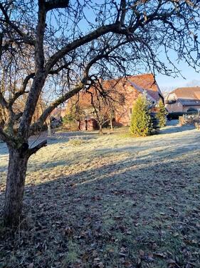 Foto - Altes Bauernhaus im denkmalgeschützten Ortskern von Edemissen