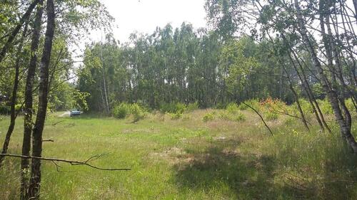 Foto - Grundstück für Tiny House Mobilheim in Wochenendhausgebiet