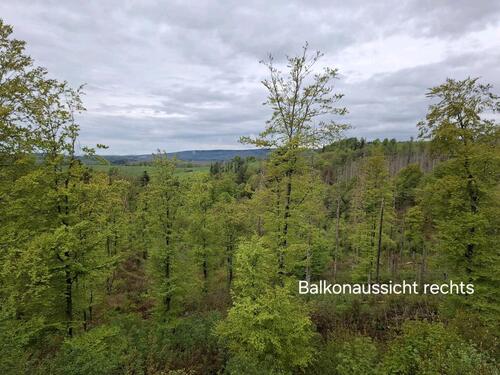 Foto - St. Andreasberg EigentumFerienwohnung im Ferienparadies Harz