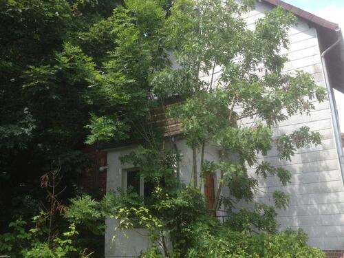 Foto - Sanierungsbedürftige Haus in Einbeck - Salzderhelden