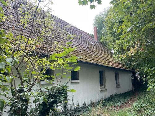 Foto - Einfamilienhaus zum Kaufen in Minden