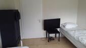 Foto - andere in Bonn