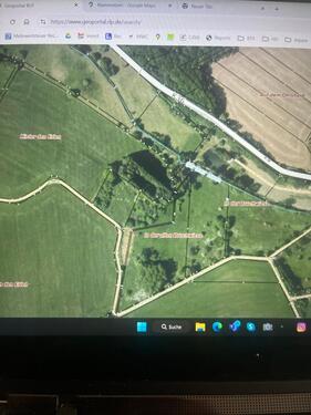 Foto - 4 zusammenhängende Wiesen– 17000 m² nahe Altenkirchen