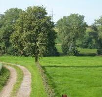 Katernberg - gut aufgeteilte 3 Zimmer im Grünen mit Balkon - Wuppertal Eckbusch