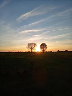 Foto - Grundstück in EdewechtHusbäke, Teilfläche Bauland zu 85,-- € pro m²