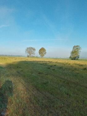Foto - Grundst&uuml;ck in Edewecht