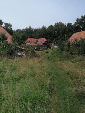 Foto - Haus nahe Lüchow - 170.000,00 EUR Kaufpreis,