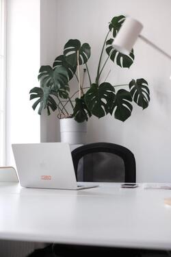 Foto - andere zur Miete in München