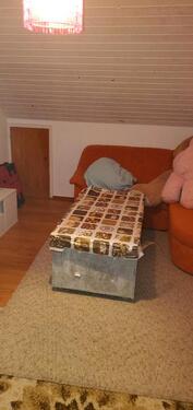 Foto - andere zur Miete in Deißlingen