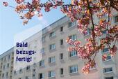 Foto - Einbauküche inklusiv - 300,00&nbsp;EUR Kaltmiete, ca.&nbsp; 46,38&nbsp;m&sup2;
