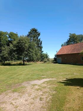 Foto - andere in Walsrode