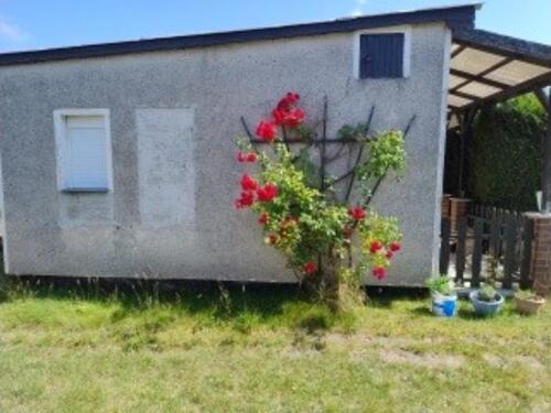 Foto - Grundst&uuml;ck in Greifswald zur Miete