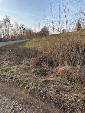 Foto - Grundst&uuml;ck in Herzberg am Harz