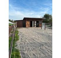 Paddockbox mit Koppel - 380,00 EUR Kaltmiete, ca.  0,00 m² in Kehl (PLZ: 77694)