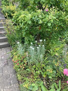 Foto - Grundstück in Hagen