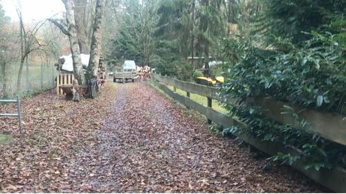 Foto - 4 Zimmer Einfamilienhaus zum Kaufen in Neu Wulmstorf