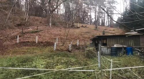 Foto - 4 Zimmer Einfamilienhaus in Neu Wulmstorf