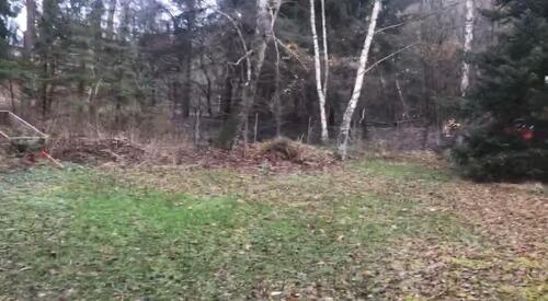 Foto - Einfamilienhaus in Neu Wulmstorf zum Kaufen