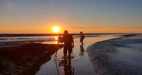 Foto - Ferienwohnung direkt am Deich Nordsee Jadebusen