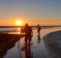Ferienwohnung direkt am Deich Nordsee Jadebusen