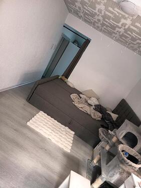 Foto - Haus mit 5 Zimmer Küche bad zu vermieten