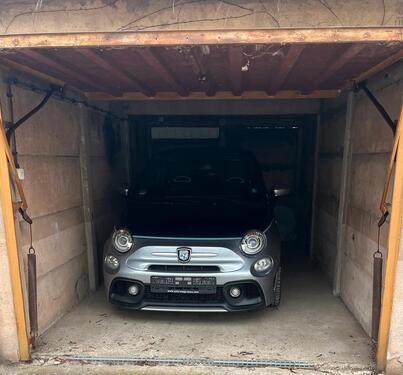 Foto - andere in Dresden